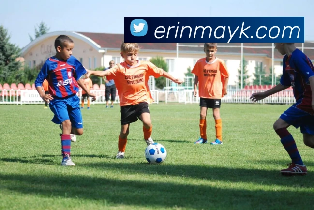 beat365唯一官网平台生态图